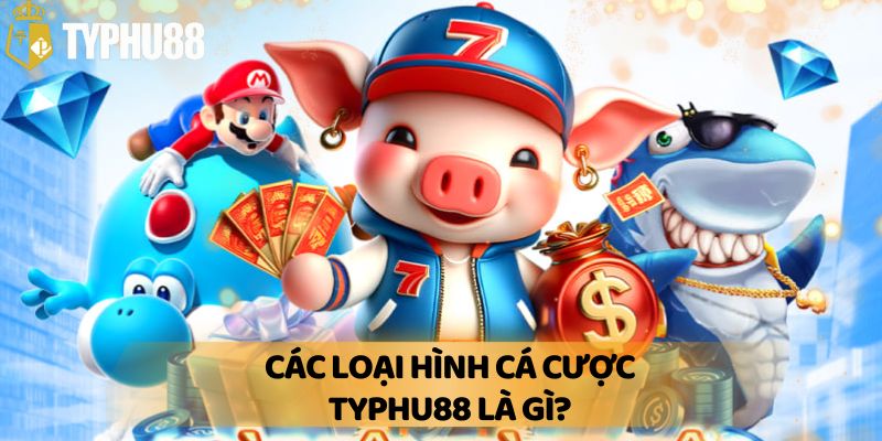 Các Loại Hình Cá Cược Typhu88 là gì?