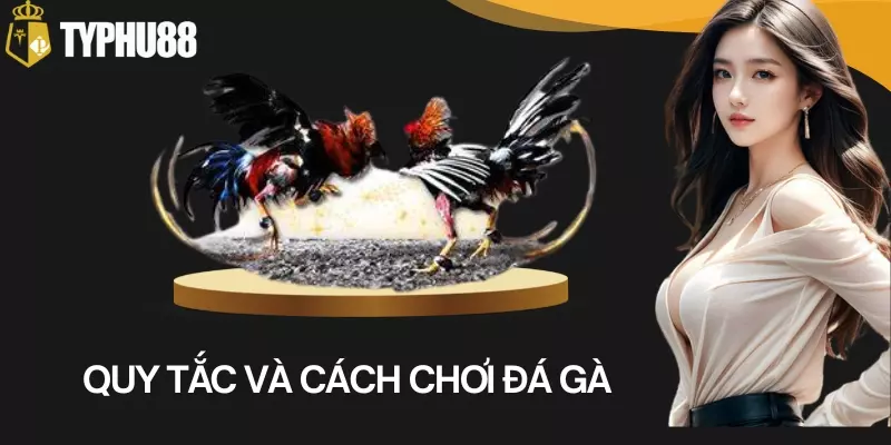 Quy tắc và cách chơi đá gà